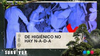 El lado B de la isla: baño entre los arbustos y arañas gigantes - Survivor Expedición Robinson 2024