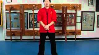 Preview: Shaolin Wing Chun Series: Level 1 Vol 1