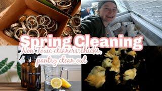 SPRING CLEANING THE HOMESTEAD Non Toxic Homemade All Natural Cleaners Pantry Clean Out and MORE