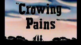 Looney Tunes "Crowing Pains" Opening and Closing