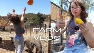 WE GOT SOMETHING NEW | farm vlog