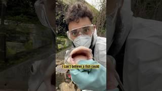 Day one of Fishing an Abandoned Energy Plant!