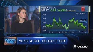 Tesla bull and bear debate the stock as Elon Musk faces off with SEC