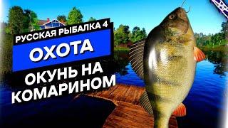 Охота на Окуня на Комарином - Русская Рыбалка 4