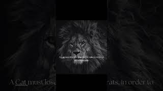 That's a must......  #reality #quotes #motivation #truth #stoic #shorts #lion #cat #rich #power