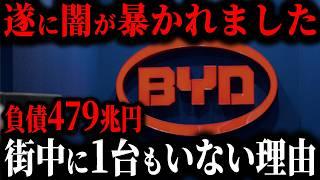 【ついに実態が判明】BYDを街中で1台も見かけない理由… 購入者大後悔【ゆっくり解説】