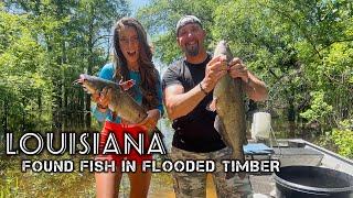 What We Caught Fishing In the LOUISIANA FLOOD WATERS