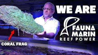 We are FAUNA MARIN - Straight from our coral farm *reef power*