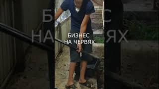 Куда девать червей?