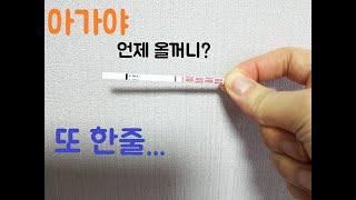[시험관] - 임테기 사용.