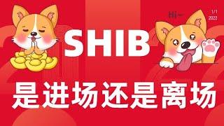 2.22 柴犬币shib屎币行情分析解读，shib还能跌多少，现在是什么情况，是进场还是离场，柴犬币会涨吗，小白投资学习教程！