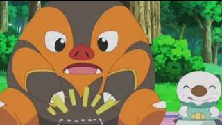 Oshawott steals Pignite's Food || PokeHub