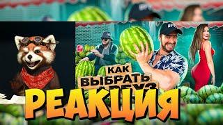 КАК ВЫБРАТЬ АРБУЗ by Drakon | реакция RED Пандыч | @VitaliyOrekhov