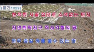 (물건1329) 집터로 최고의 자리 직사각형 땅  #미래부동산 #미래부동산TV#총리공인중개사무소 #밀양무안면 #밀양부동산 #밀양토지#유튜브부동산총리 #축사 #돈사 #양계 #절터