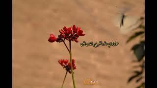 Muhammad ibrar ghar saib | محمد ابرار غر صیب | pashto poetry | adabe maraka tv | Bilal