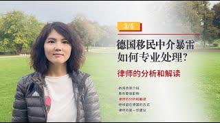 德国移民中介暴雷如何专业处理-律师的分析和解读