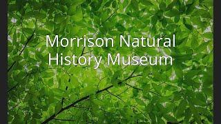 Morrison Natural History Museum