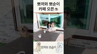 뽀끼와 뽀순이 카페 오픈!!! 구독자님들은 공짜