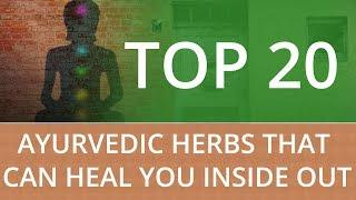 TOP 20 AYURVEDIC HERBS THAT CAN HEAL YOU INSIDE OUT