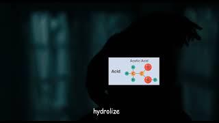 The Weekend Teaches Organic Chemistry (Hydrolysis)