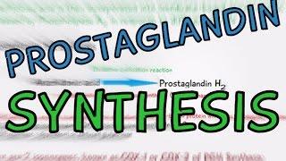 Biochemistry Help: Prostaglandin Synthesis explained in 4 Minutes! How are Prostaglandins made?