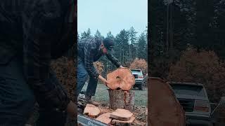 Ported Stihl 462C vs Husqvarna 572xp