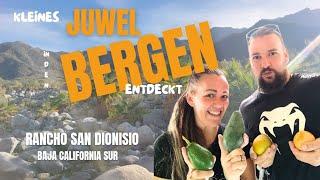 Kleines Juwel in den Bergen ️ Zwischen Avocadobäumen & Gastfreundschaft auf der Rancho San Dionisio