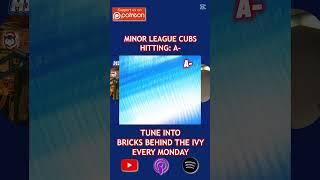 Cubs Minor League Report Card: Hitting Grade & Top Prospects Revealed!  #bricksbehindtheivy #cubs