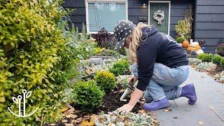 Planting The Most ADORABLE Mini White Daffodil + Propagating Rare Geranium Cuttings