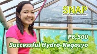 Beginner Success Story: Paano Magsimula ng Hydro-negosyo Gamit ang SNAP Hydroponics