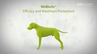 webiotic fast en