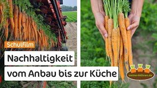 Schulfilm: Möhren – Superfood für eine nachhaltige Zukunft | Ganzes Video