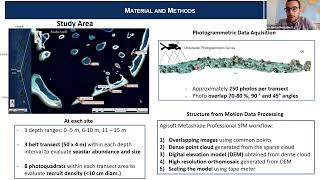 Reef complexity influences distribution and habitat  choice of the corallivorous seastar Culcita ...