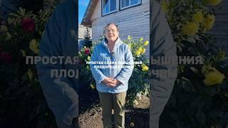 Простая схема повышения плодородия почвы