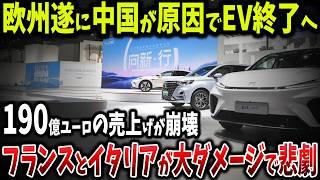 中国VSヨーロッパ！フランスとイタリアの自動車産業が48%関税で滅亡の危機【ゆっくり解説】