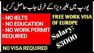 Work in Svalbard | Work in Visa Free Zone | How to get Job in Svalbard | Free Work Visa of Europe