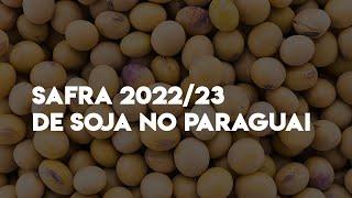 DATAGRONews ▪️ Safra de Soja ▪️ 1304