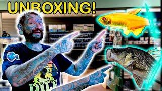 Unboxing Really Nice Native and Exotic Tropical Fish!