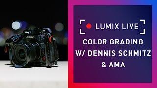 LUMIX Live : Color Grading interview with Dennis Schmitz & AMA