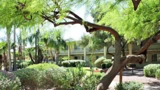 Catalina Vista Apartments in Tucson, AZ - ForRent.com