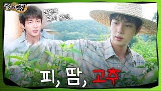 [Run Jin] EP.9 | Blood, Sweat & Peppers