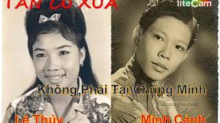 Không Phải Tại Chúng Mình Tân Cổ | Minh Cảnh Lệ Thủy | Tân Cổ Xưa