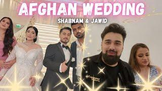 Afghan Weddings Are The Best But.... |عروسی افغان ها بهترین است اما ….. | Hila & Massi Vlog 58