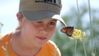 Learn how to be a citizen scientist through Nature's Notebook on SciStarter.