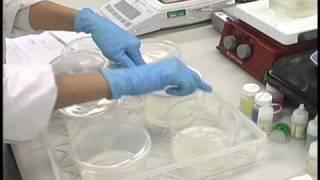 Plant Tissue Culture Media Preparation