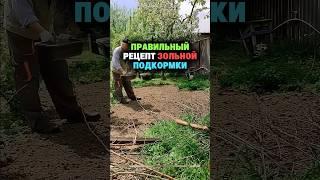 Правильный рецепт зольной подкормки #сад #огород #дача #рассада #урожай #подкормка