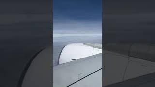 Flying high #flying #airplane #emirates #viral #aviation #youtubeshorts #viralvideo #shorts