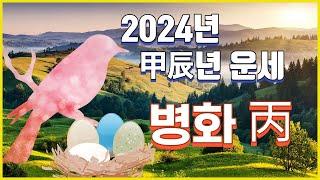 갑진년 2024년 병화일간 운세