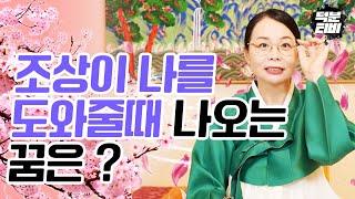 조상님이 나를 도와주실때 꾸는 꿈은 '이것' 이다 과연 어떤 꿈으로 보여드릴까요?