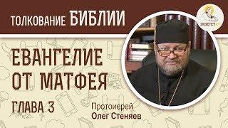 Евангелие от Матфея. Глава 3. Протоиерей Олег Стеняев. Толкование Библии. Толкование Нового Завета